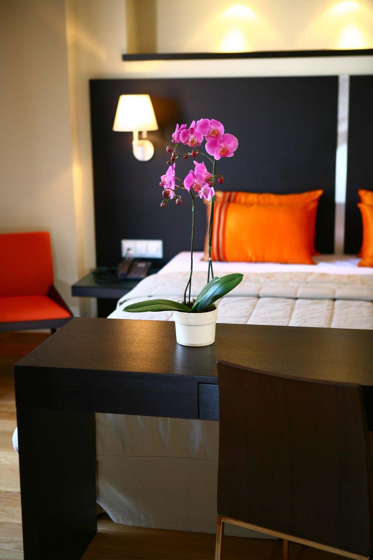O&B Athens Boutique Hotel Ngoại thất bức ảnh